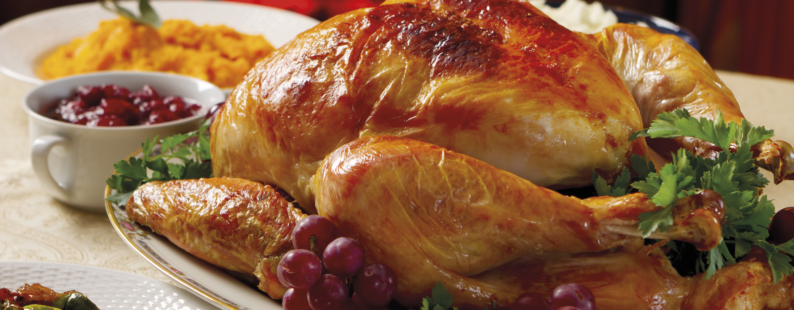 cappone natalizio arancia